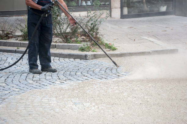 Animal Enclosure Cleaning in Godley, TX